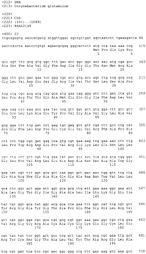 Гены corynebacterium glutamicum, кодирующие белки, участвующие в метаболизме углерода и продуцировании энергии (патент 2310686)