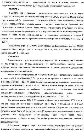 Применение тилвалосина в качестве противовирусного агента (патент 2412710)