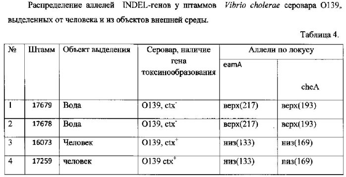 Способ молекулярно-генетического внутривидового типирования v. cholerae о1 и о139 серогрупп (патент 2575046)