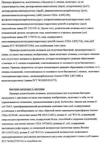 Способ получения l-треонина с использованием бактерии, принадлежащей к роду escherichia, в которой инактивирован кластер генов sfmacdfh-fimz или ген fimz (патент 2333953)