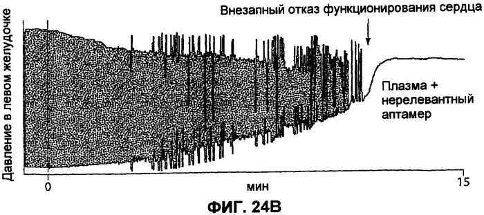 Аптамерные терапевтические средства, применимые для лечения связанных с комплементом расстройств (патент 2406507)
