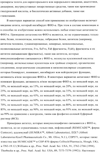 Стабилизированные антитела против ангиопоэтина-2 и их применение (патент 2509085)