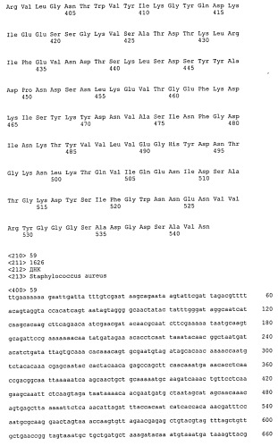 Иммуногенные композиции антигенов staphylococcus aureus (патент 2536981)