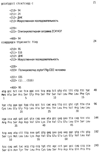 Новый лиганд рецептора цитокина zcytor17 (патент 2490276)