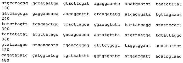 Мутантный термолабильный энтеротоксин e.coli (патент 2441879)