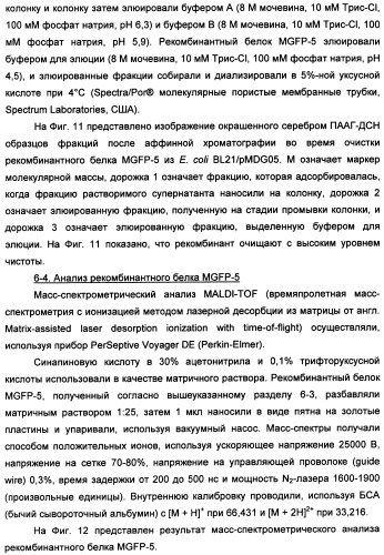Биоадгезив мидии (патент 2349599)