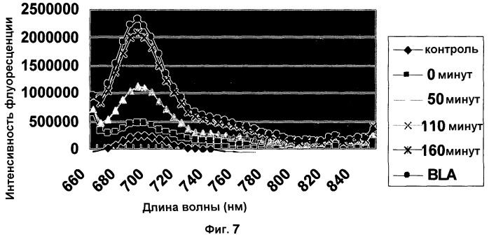 Применение бактериальной бета-лактамазы для диагностики in vitro и визуализации, диагностики и лечения in vivo (патент 2520661)
