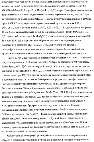 Композиции и способы диагностики и лечения опухоли (патент 2430112)