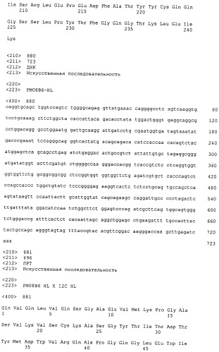 Psma×cd3 биспецифическое одноцепочечное антитело с межвидовой специфичностью (патент 2559531)