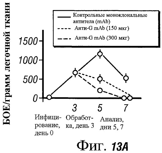 Антитела против g-белка распираторно-синцитиального вируса (rsv) (патент 2526517)