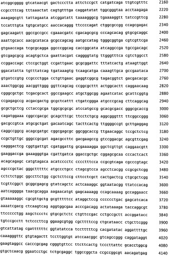 Рекомбинантная вакцина от птичьего гриппа и её применение (патент 2559527)