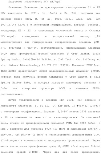 Антитела против вируса гепатита с (патент 2462475)