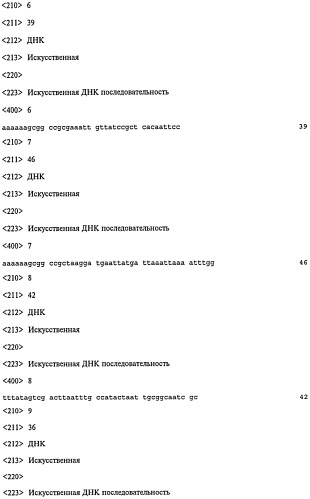 Микроорганизм-носитель нуклеотидных последовательностей, кодирующих антигены и белковые токсины (патент 2447145)