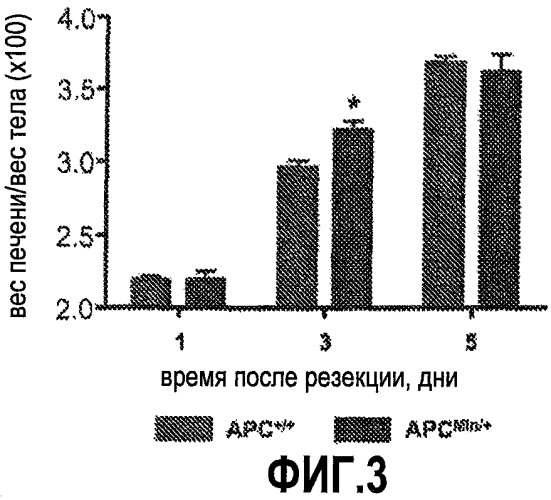 Способ стимуляции регенерации тканей (патент 2480213)