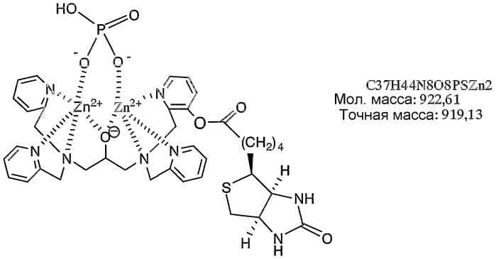 Способ мечения фосфорилированных пептидов, способ селективной адсорбции фосфорилированных пептидов, комплексные соединения, используемые в таких способах, способ получения комплексных соединений и исходные соединения для получения комплексных соединений (патент 2315771)