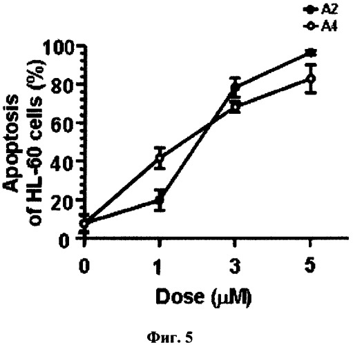 Средство, стимулирующее апоптоз клеток лейкемии человека (патент 2360692)