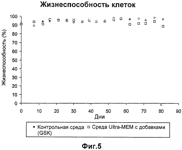 Способ культивирования клеток без компонентов животного происхождения (патент 2369634)