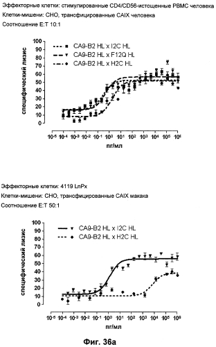 Cd3-эпсилон-связывающий домен с межвидовой специфичностью (патент 2561457)