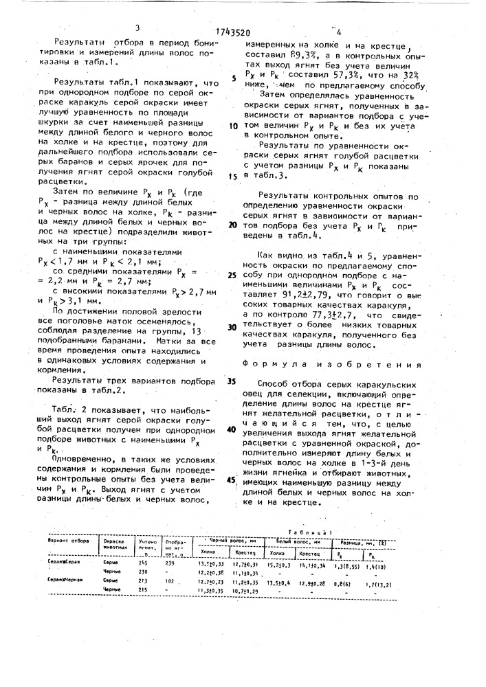 Способ отбора серых каракульских овец для селекции (патент 1743520)