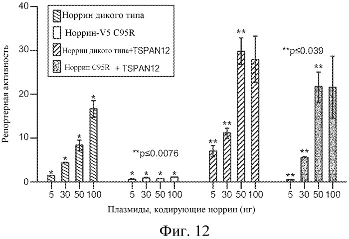 Способы ингибирования глазного ангиогенеза (патент 2530583)