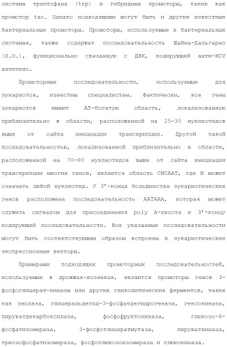 Антитела против вируса гепатита с (патент 2462475)