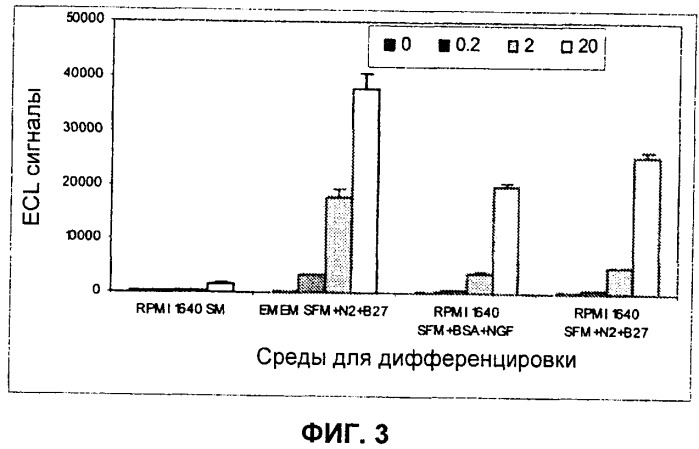 Иммунологические анализы активности ботулинического токсина серотипа а (патент 2491293)