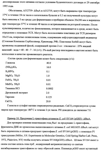 Способ получения l-треонина с использованием бактерии, принадлежащей к роду escherichia, в которой инактивирован ген fhua (патент 2333955)