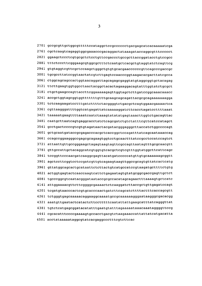 Рекомбинантный ген l1hpv16, рекомбинантная плазмида pqe-l1/16, белок l1hpv16 и их применение (патент 2628693)