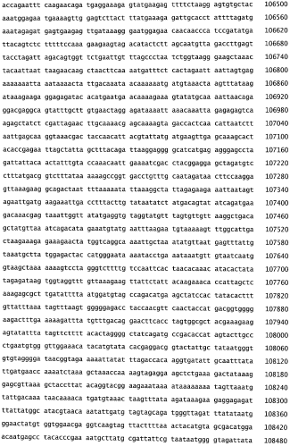 Бактериофаг, обладающий активностью против pseudomonas aeruginosa, белки бактериофага и способы их применения (патент 2580248)