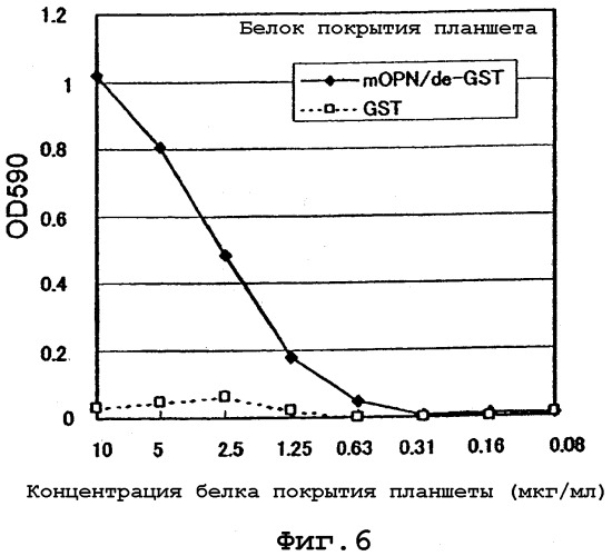 Антитело против остеопонтина и его применение (патент 2299888)