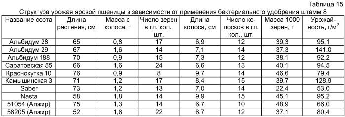 Способ оценки потенциальной продуктивности сельскохозяйственных растений, преимущественно коллекционных сортов яровых зерновых колосовых культур, при возделывании в условиях резко континентального климата (патент 2294091)