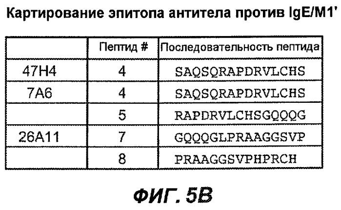 Апоптотические антитела против ige (патент 2500686)