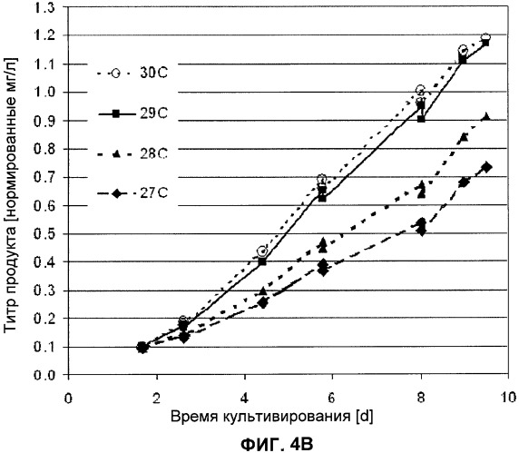 Применение низкой температуры и/или низкого pн в культуре клеток (патент 2478702)