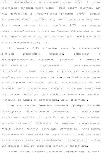 Слитые белки альбумина (патент 2369404)
