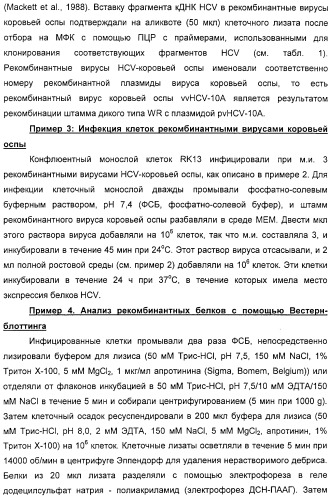 Очищенные белки оболочки вируса гепатита с для диагностического и терапевтического применения (патент 2313363)