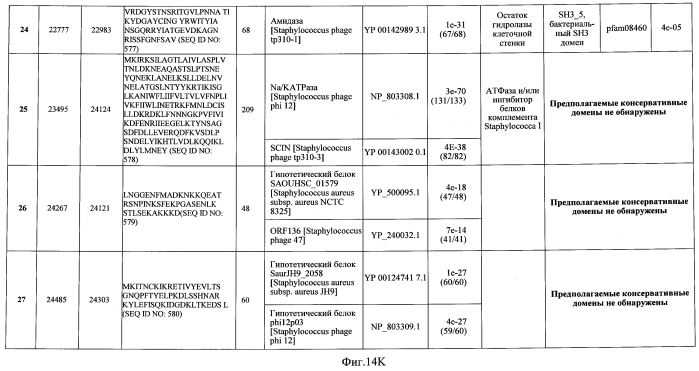 Бактериофаг, обладающий активностью против pseudomonas aeruginosa, белки бактериофага и способы их применения (патент 2580248)