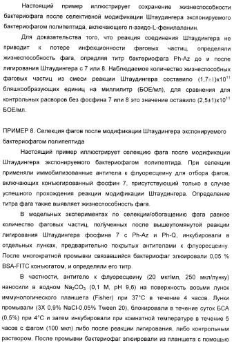 Селективная посттрансляционная модификация экспонируемых фагами полипептидов (патент 2459866)