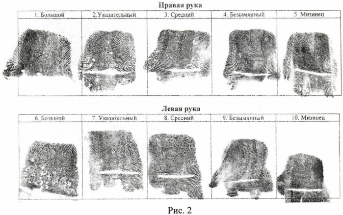 Дактилоскопическая карта описание отпечатков