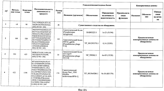 Бактериофаг, обладающий активностью против pseudomonas aeruginosa, белки бактериофага и способы их применения (патент 2580248)