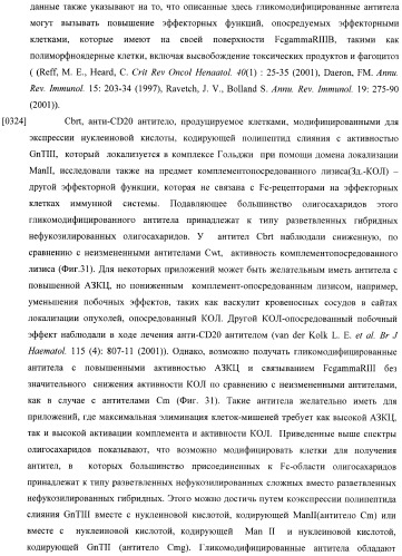 Конструкции слияния и их применение для получения антител с повышенными аффинностью связывания fc-рецептора и эффекторной функцией (патент 2407796)