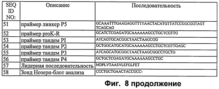 Система экспрессии компонентов ортогональной трансляции в эубактериальной клетке-хозяине (патент 2467069)