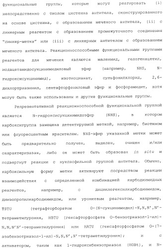 Антитела, сконструированные на основе цистеинов, и их конъюгаты (патент 2412947)