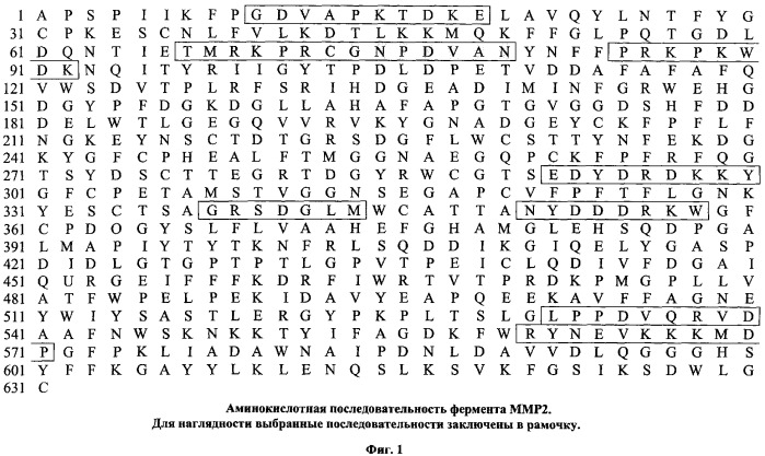 Синтетические пептиды и способ профилактического и лечебного применения при инвазии и метастазировании рака (патент 2346043)