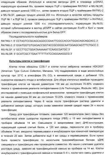 Способ идентификации соединений, взаимодействующих с трансмембранными белками (патент 2326166)