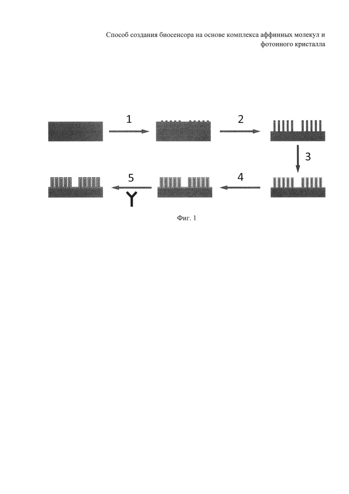Способ создания регенерируемого биосенсора на основе комплекса фотонного кристалла с аффинными молекулами (патент 2618606)