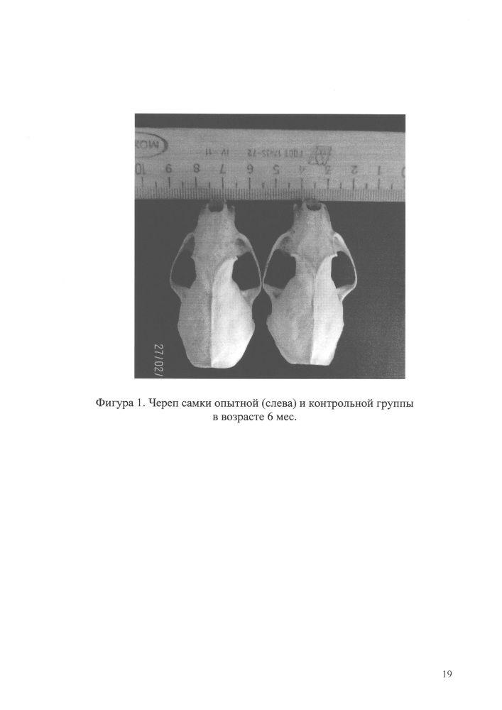 Способ улучшения морфогенеза черепа самцов и самок американской норки окрасочного генотипа standart (+/+ +/+) (патент 2637359)