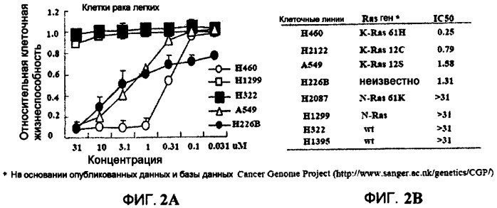 Онкогенное ras-специфичное цитотоксическое соединение и способы его применения (патент 2448703)