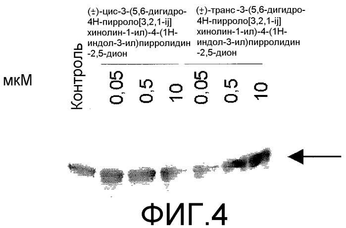 Композиции и способы лечения рака (патент 2547148)