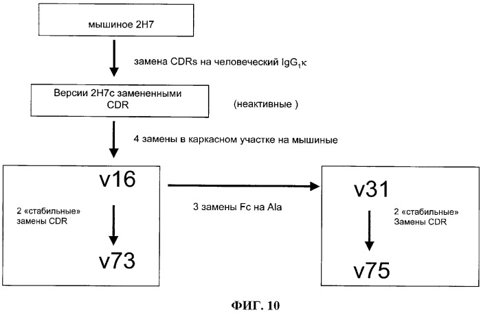 Варианты иммуноглобулинов и их применение (патент 2326127)