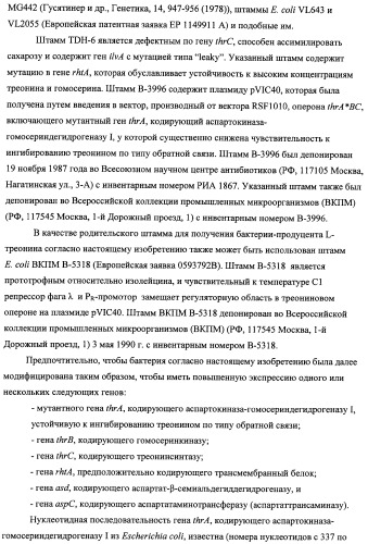 Способ получения l-треонина с использованием бактерии, принадлежащей к роду escherichia, модифицированной таким образом, что в ней нарушена способность к образованию ворсинок типа &quot;керли&quot; (патент 2338782)